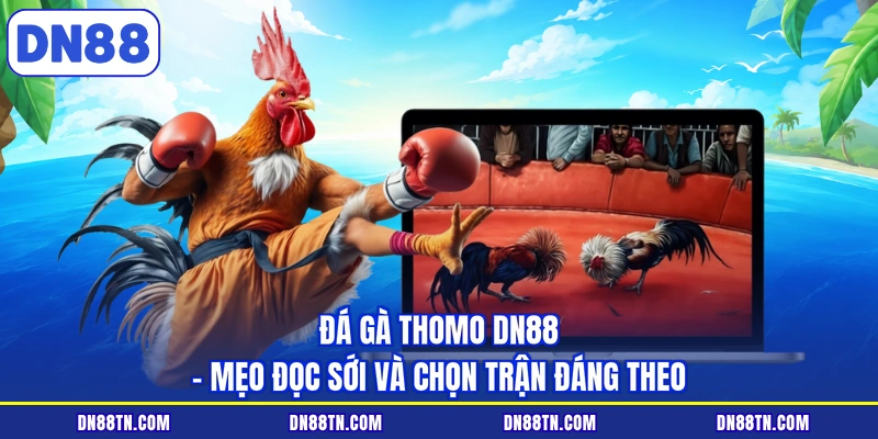 Đá gà thomo