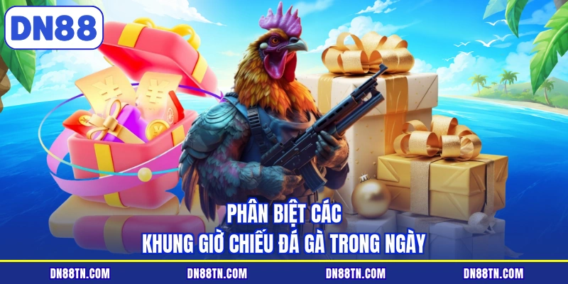 Phân biệt các khung giờ chiếu đá gà trong ngày
